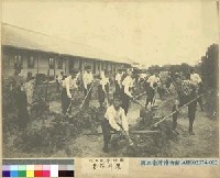 藏品(國語學校學生農科作業)的圖片